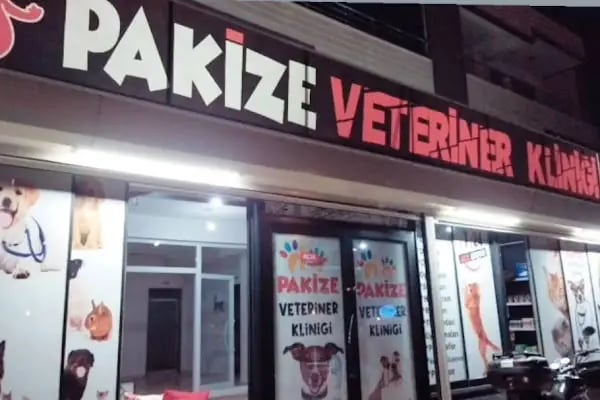PAKİZE PET VETERİNER KLİNİĞİ - Resim 12