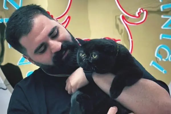 PAKİZE PET VETERİNER KLİNİĞİ - Resim 16