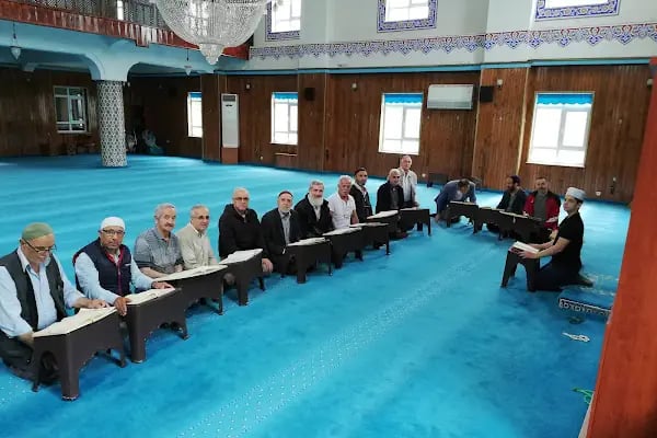 Teiaş Cami - Resim 14