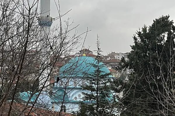 Teiaş Cami - Resim 12