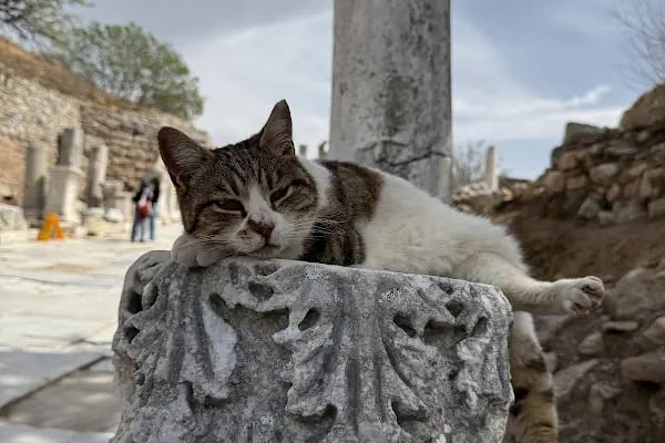 Efes Deneyim Müzesi/Ephesus Experience Museum - Resim 18
