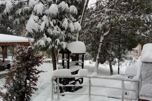Saraybosna Parkı - Resim 15