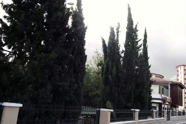 Saraybosna Parkı - Resim 2