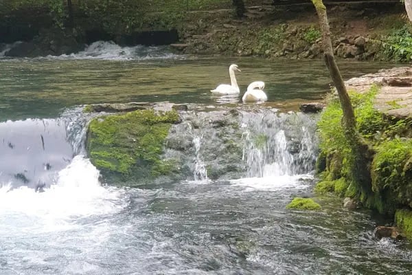 Saraybosna Parkı - Resim 19