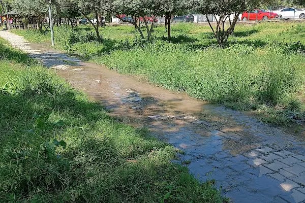 Çukurova İlçe Belediyesi - Resim 6