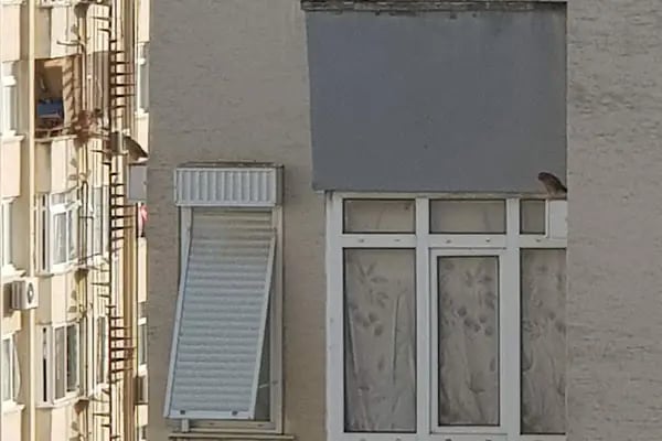 Mavi Bulvar - Resim 16