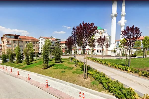 Veysel Karani Cami - Resim 16