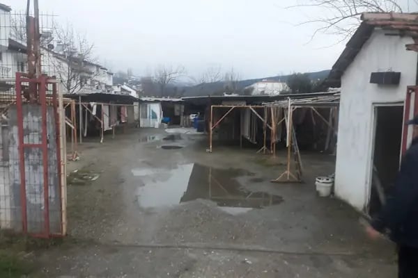 Sahil Halı Yıkama Evi Gemlik Büyük Kumla - Resim 4
