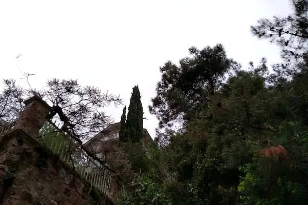 Hüseyin Rahmi Gürpınar Müzesi - Resim 11