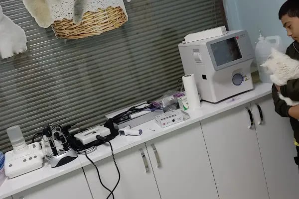 Şifa veteriner kliniği - Resim 5
