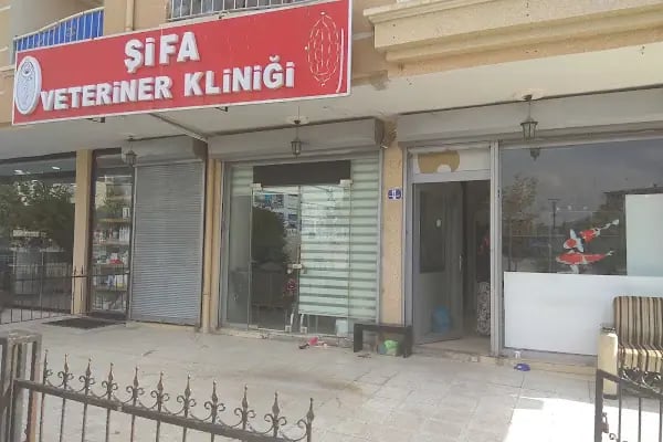 Şifa veteriner kliniği - Resim 16