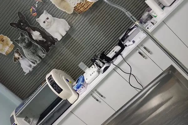 Şifa veteriner kliniği - Resim 2
