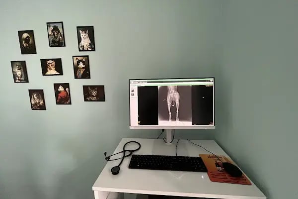 Yenikent Veteriner Kliniği - Resim 14