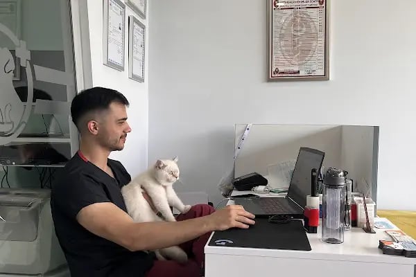 Yenikent Veteriner Kliniği - Resim 18