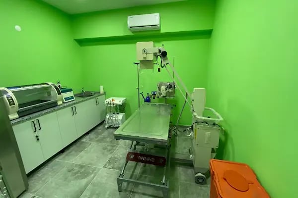 Yenikent Veteriner Kliniği - Resim 4