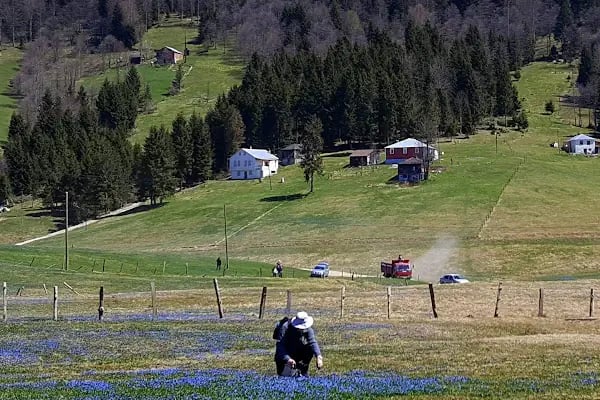 Kadıralak Tabiat Parkı - Resim 20
