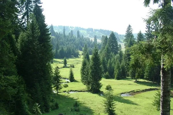 Kadıralak Tabiat Parkı - Resim 13