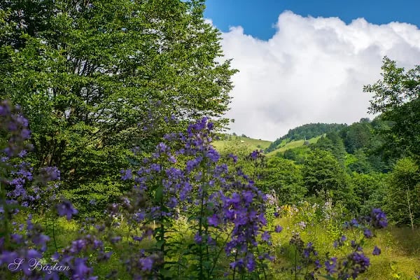 Kadıralak Tabiat Parkı - Resim 19