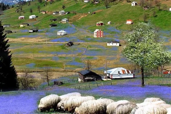 Kadıralak Tabiat Parkı - Resim 9