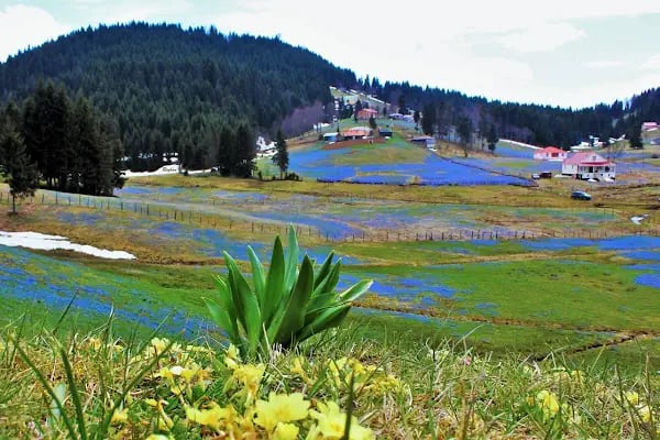 Kadıralak Tabiat Parkı - Resim 2