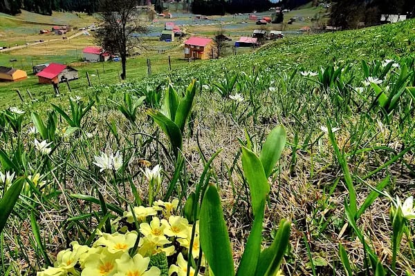 Kadıralak Tabiat Parkı - Resim 7
