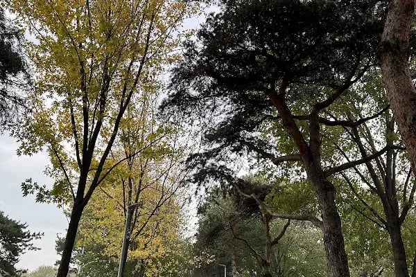 Merinos Atatürk Kongre Kültür Merkezi Doğu Kapısı - Resim 16