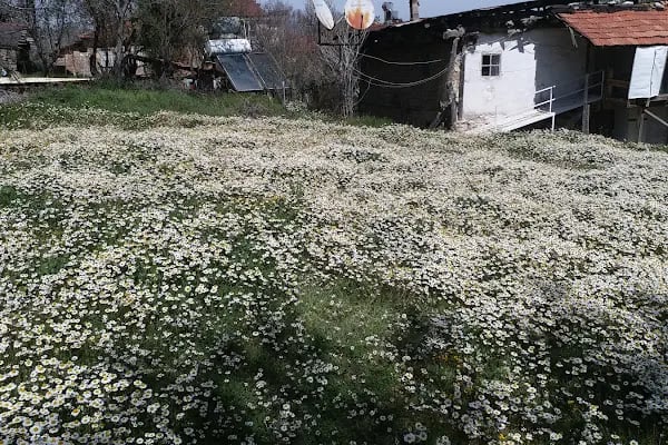 Çatalçeşme Parkı - Resim 20