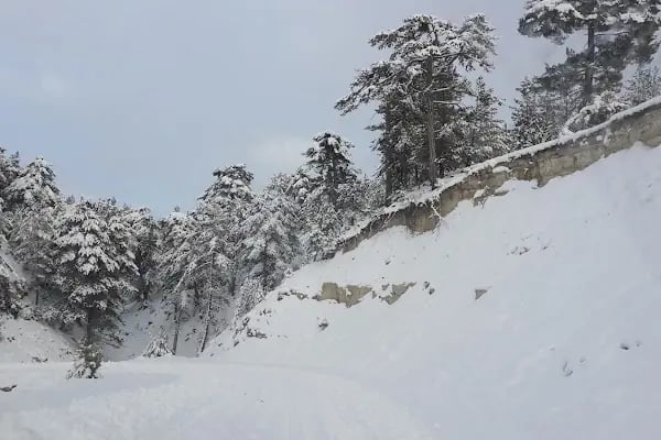 Çatalçeşme Parkı - Resim 18