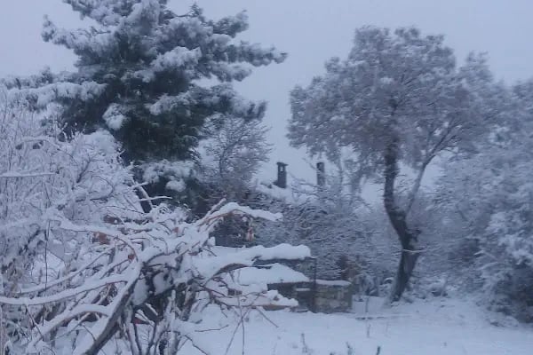 Çatalçeşme Parkı - Resim 11