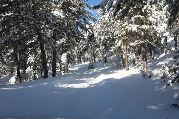 Çatalçeşme Parkı - Resim 4