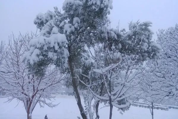 Çatalçeşme Parkı - Resim 14