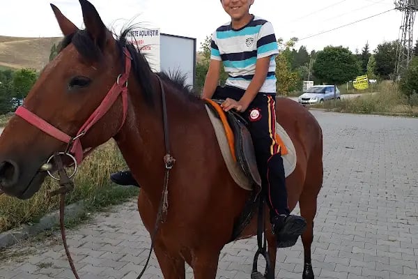 Güzelhisar Piknik Alanı - Resim 17