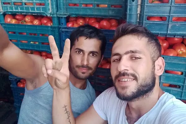 Sebze Meyve Hali - Resim 6
