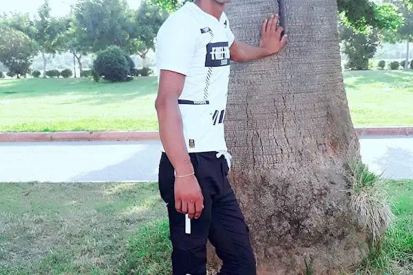 Sebze Meyve Hali - Resim 4