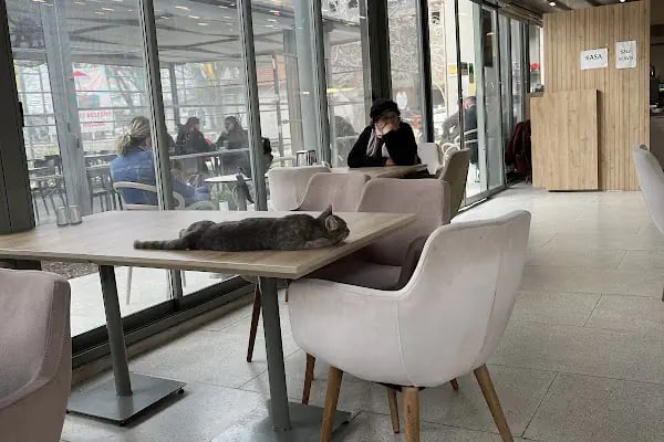 MızMız Cafe Köfte&amp;FastFood - Resim 7