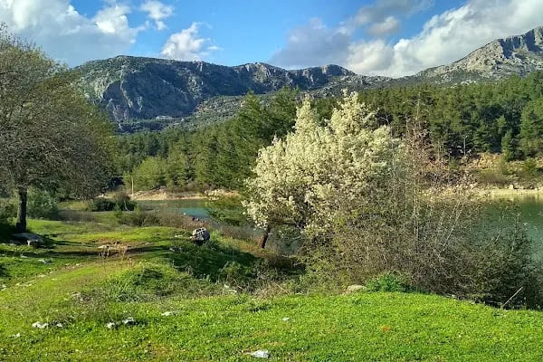 Ekşili göleti - Resim 15