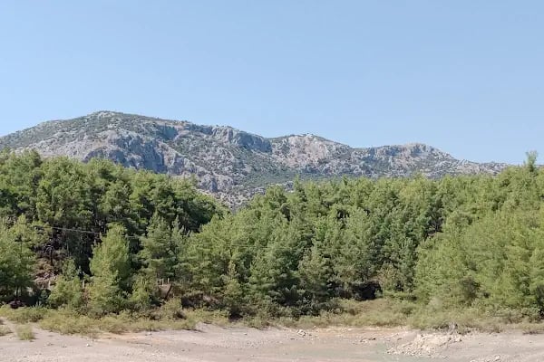 Ekşili göleti - Resim 17
