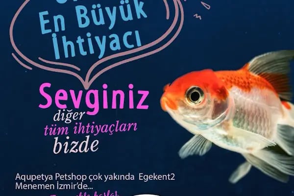 Aqupetya Pet Shop - Resim 7