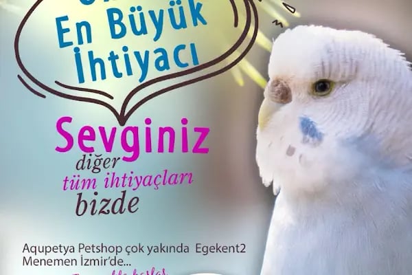 Aqupetya Pet Shop - Resim 6