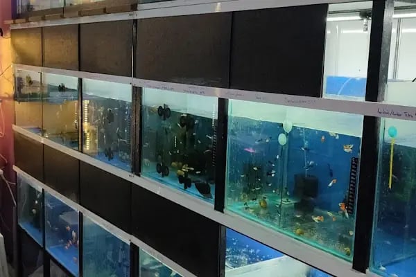 Aqupetya Pet Shop - Resim 2