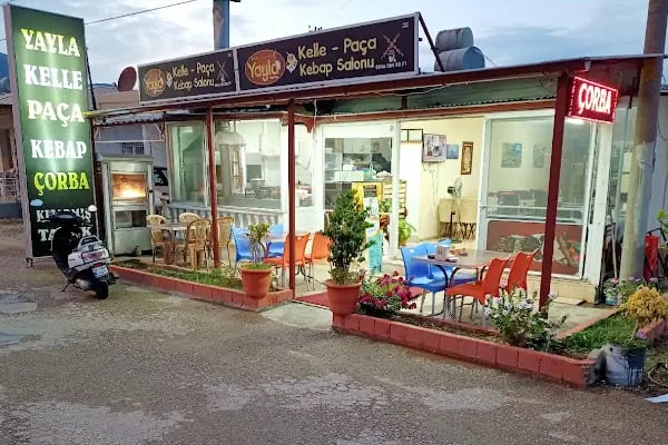 Yayla restaurant.. Antep sofrası - Resim 11