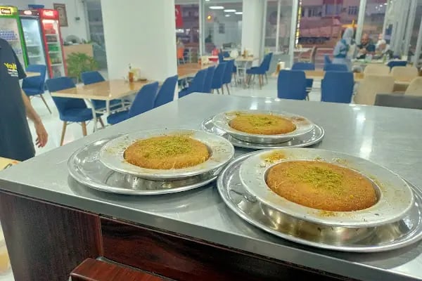 Yayla restaurant.. Antep sofrası - Resim 19
