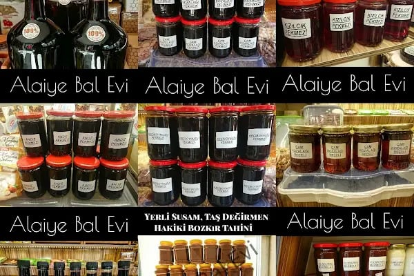 Alaiye bal evi - Resim 14