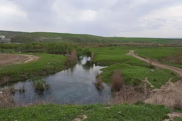 Körtik Tepe - Resim 8