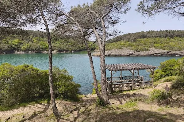 Altıeylül Turizm - Resim 12