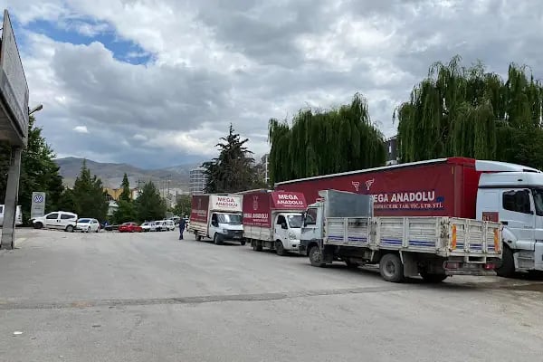 Mega Anadolu Taşımacılık Malatya - Resim 4