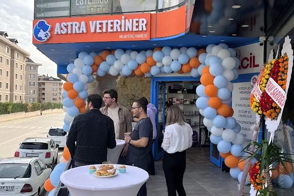 Astra Veteriner Muayenehanesi I 7/24 Acil Veteriner I Balat Veteriner I Nilüfer Veteriner I Nöbetçi Veteriner - Resim 5