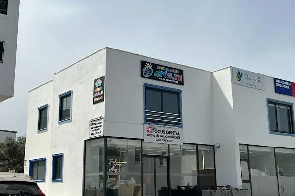 Minik Hayaller Akıl ve Zeka Oyunları Atölyesi - Resim 2
