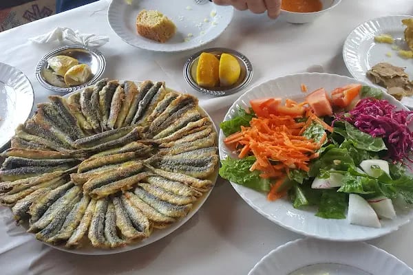 Dam balık - Resim 3