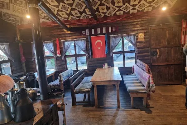Dam balık - Resim 6